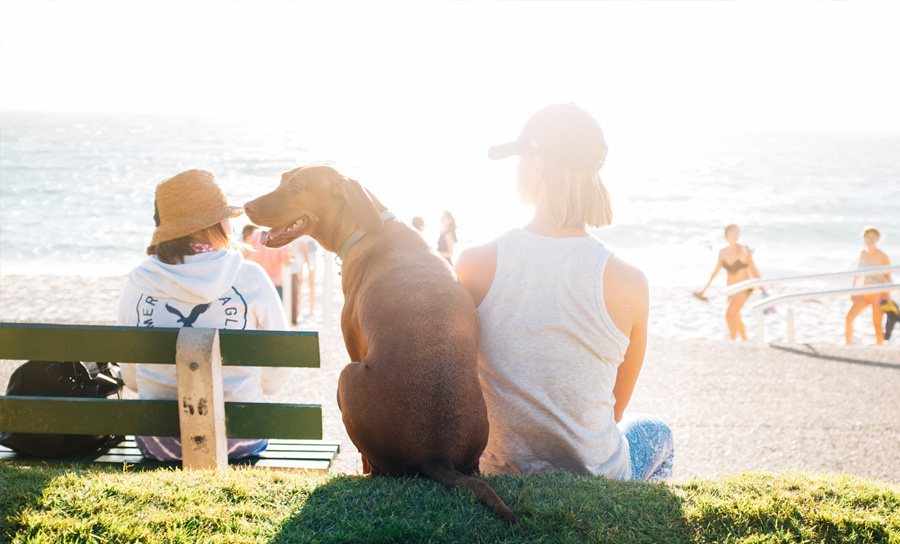 Apple Watch Thumbnail